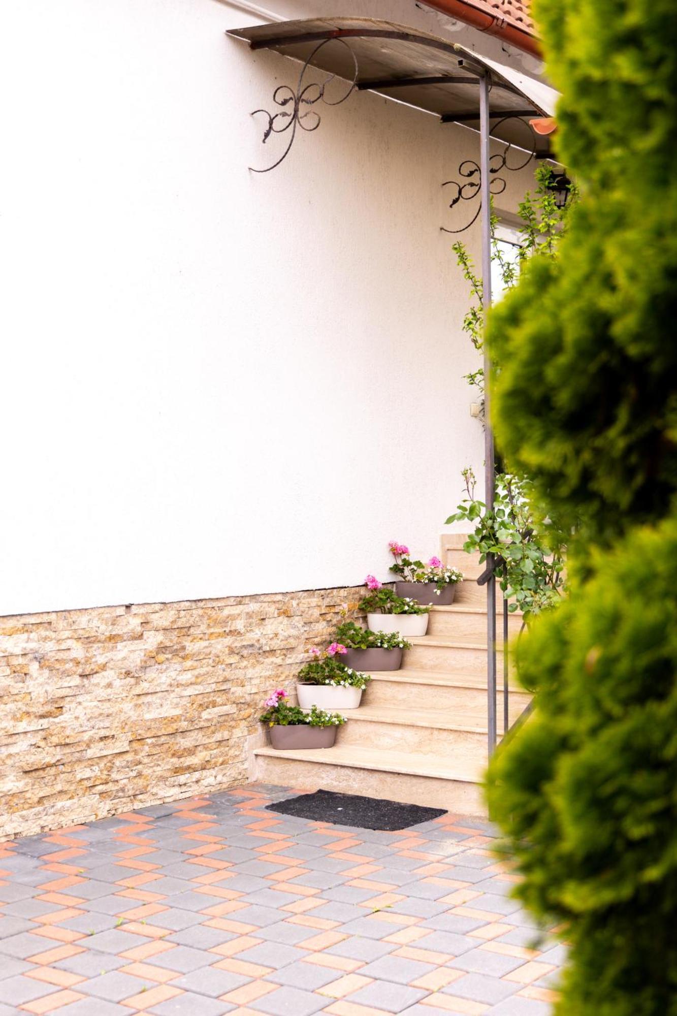 Green Garden Avrig Exterior photo