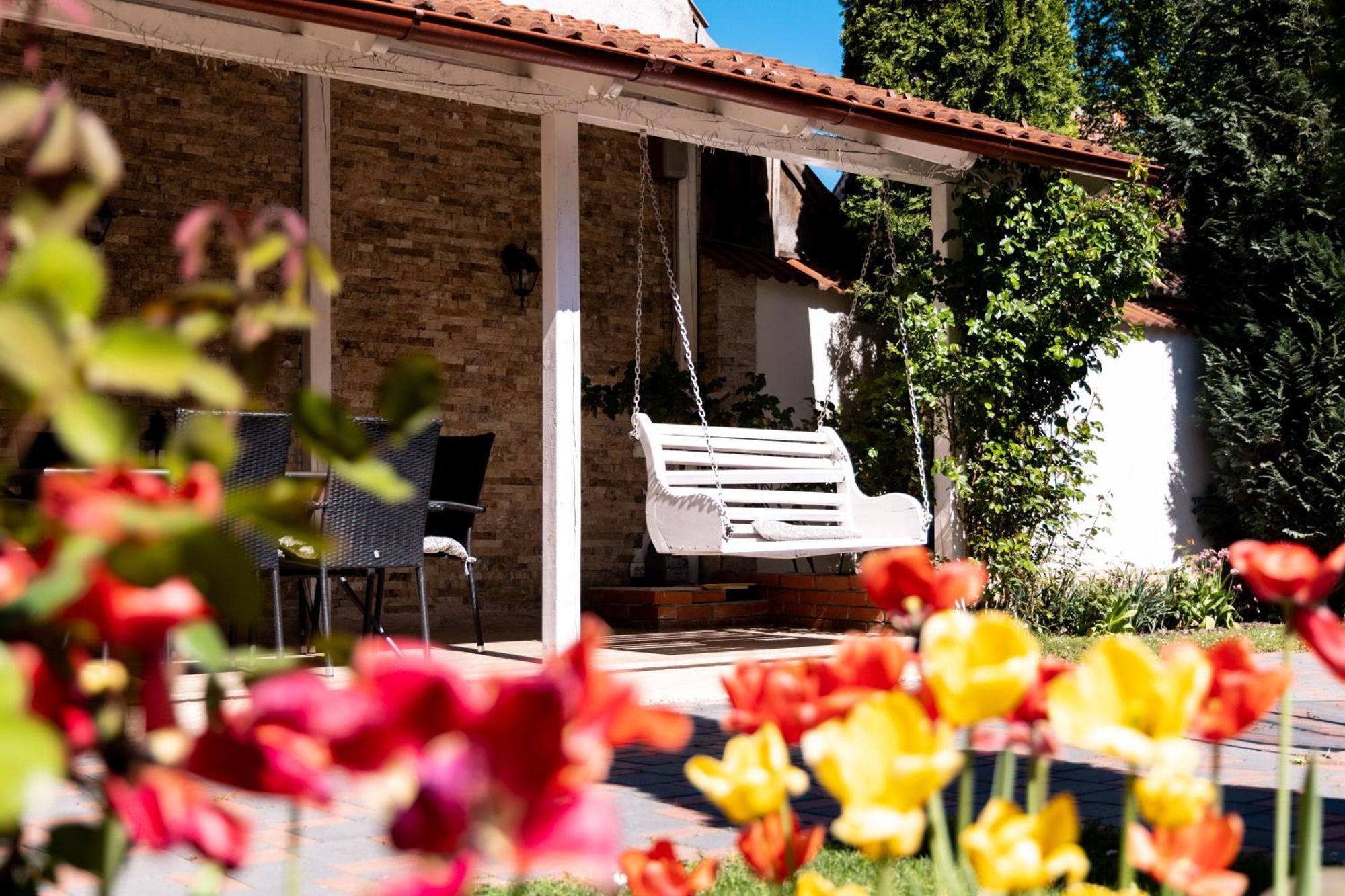 Green Garden Avrig Exterior photo